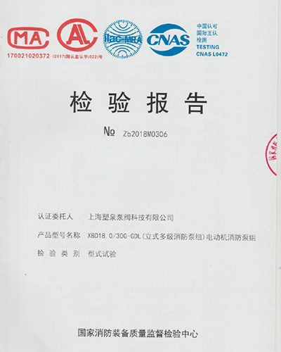 檢驗(yàn)報告